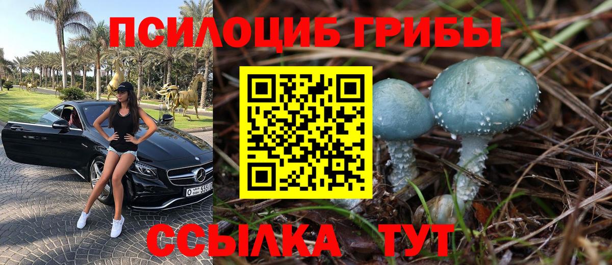 дарнет шоп  Псилоцибиновые грибы мицелий  Вход с VPN  Сызрань 
